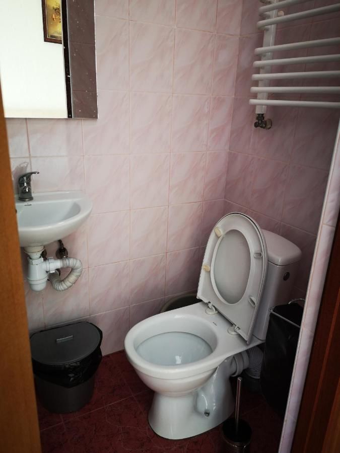 Проживание в семье Sadyba Anzhelika Трускавец-29