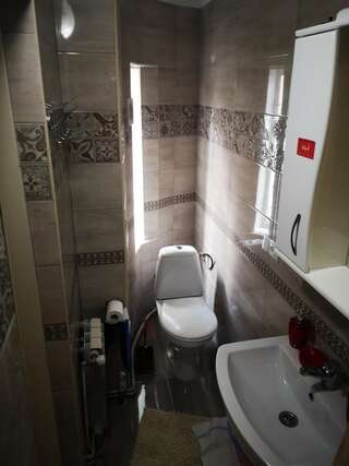 Проживание в семье Sadyba Anzhelika Трускавец Двухместный номер с 1 кроватью-10